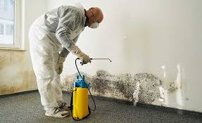 Best Residential Mold Inspection & Testing  in Meadow Vista, CA