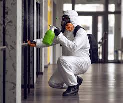 Reliable Meadow Vista, CA Mold Inspection Solutions